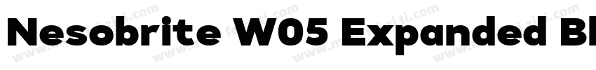Nesobrite W05 Expanded Black字体转换